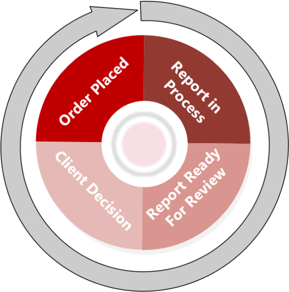 Image of User Experience wheel